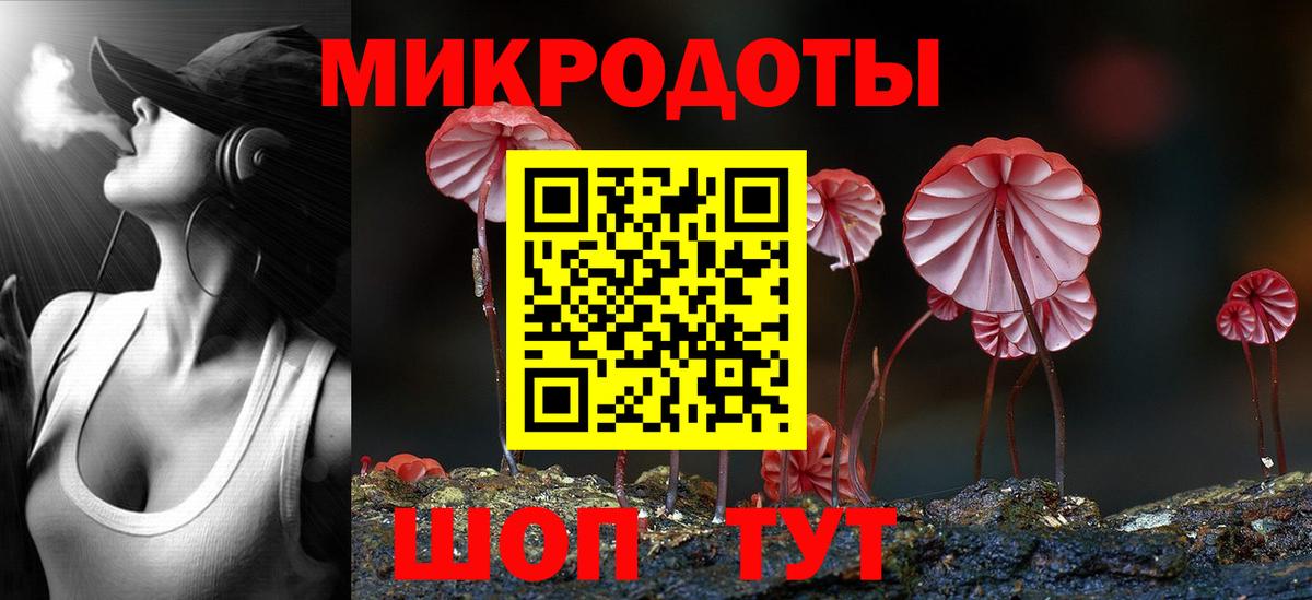 Галлюциногенные грибы Psilocybine cubensis Миасс