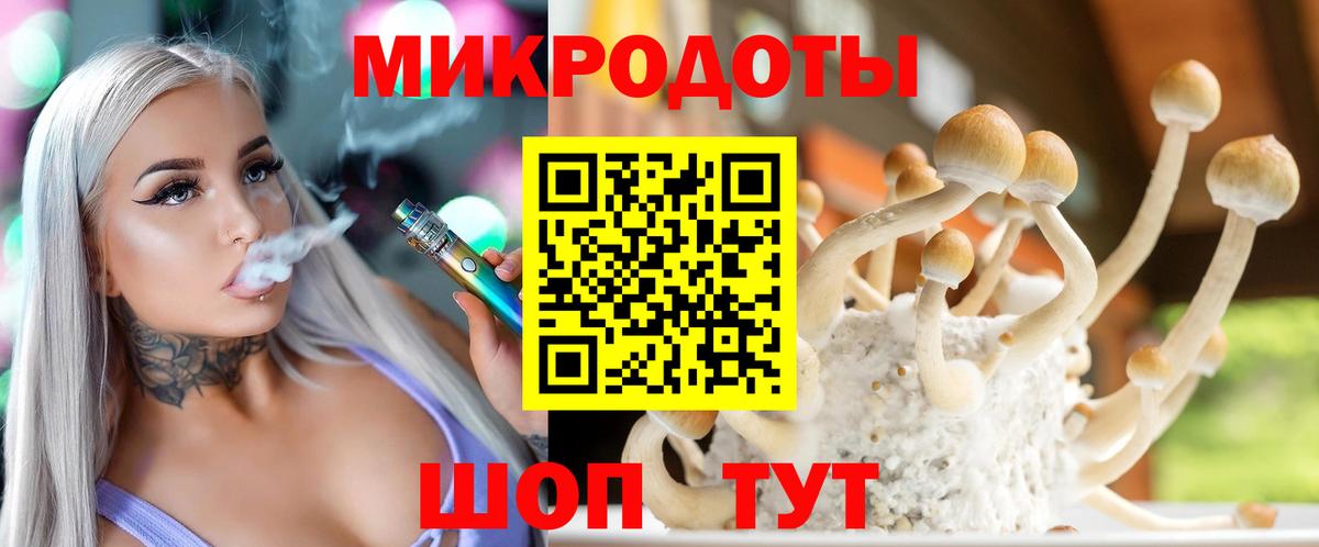 Миасс  Псилоцибиновые грибы мицелий  купить наркотики цена  Вход с VPN 